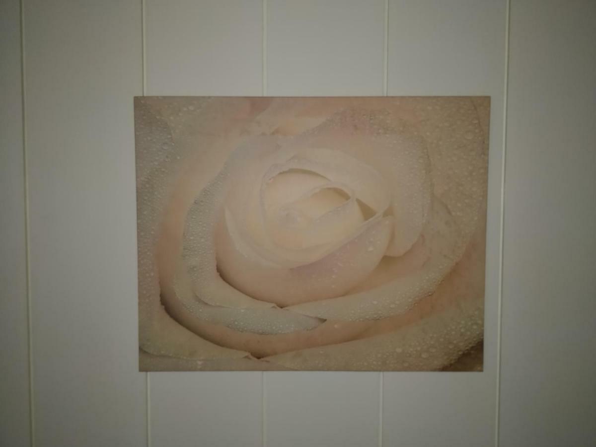 Apartment Avi Burgplatz