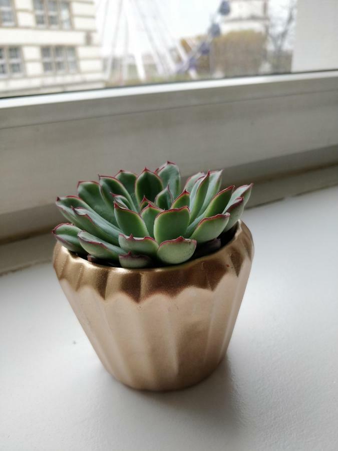 Apartment Avi Burgplatz *